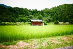 【米子市・弓浜地区限定】浄化槽の維持管理費に年最大31,000円の補助金が出ます
